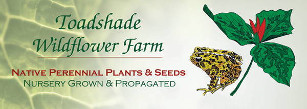 Online Plant & Seed Catalog