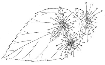 Alabama Snow Wreath Drawing